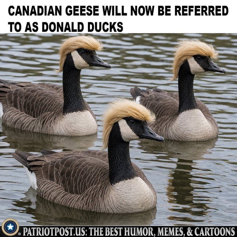 Donald Ducks